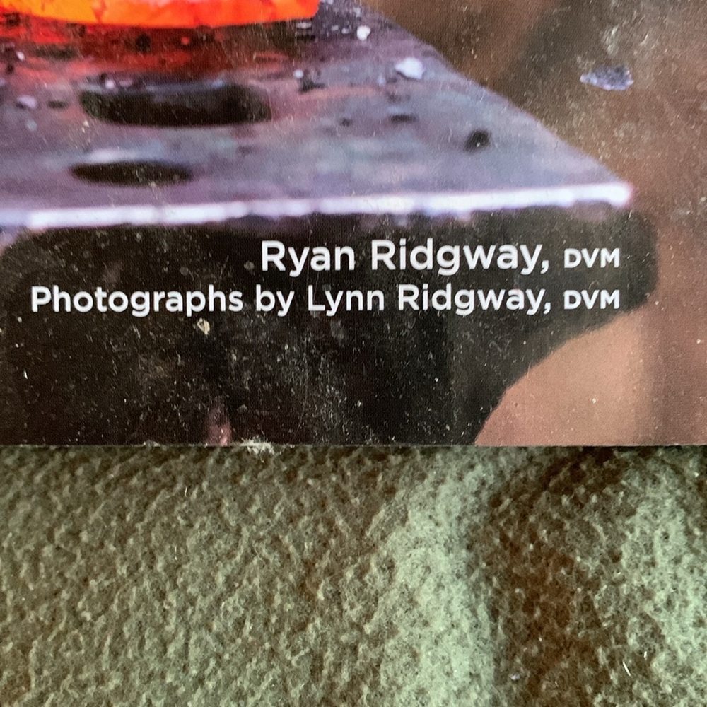 The Home Blacksmith by Ryan Ridgway, DVM - Picture 2 of 4